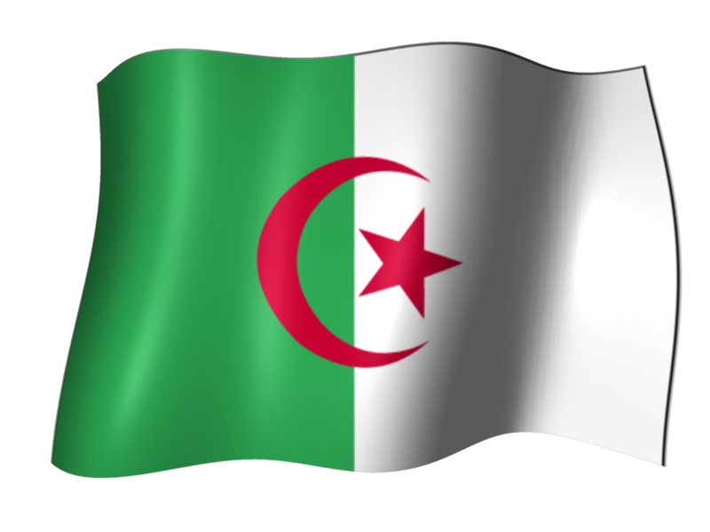 ملف:علم الجزائر 2.jpg