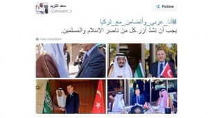 أنا عربي أتضامن مع تركيا.jpg