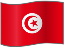علم تونس.png